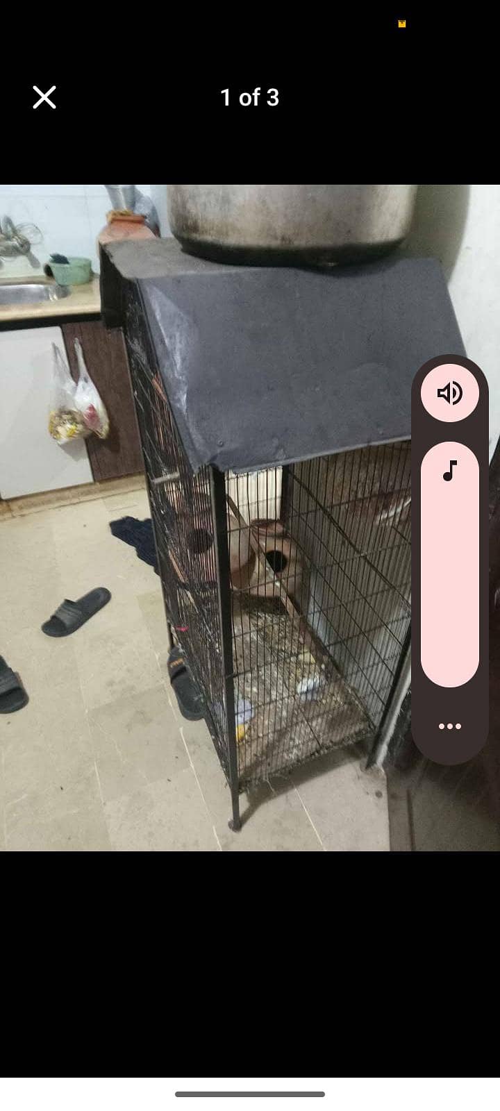 only cage 0