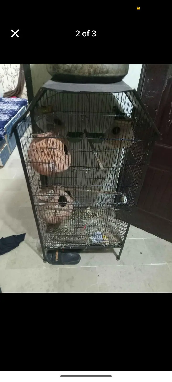 only cage — photo 2