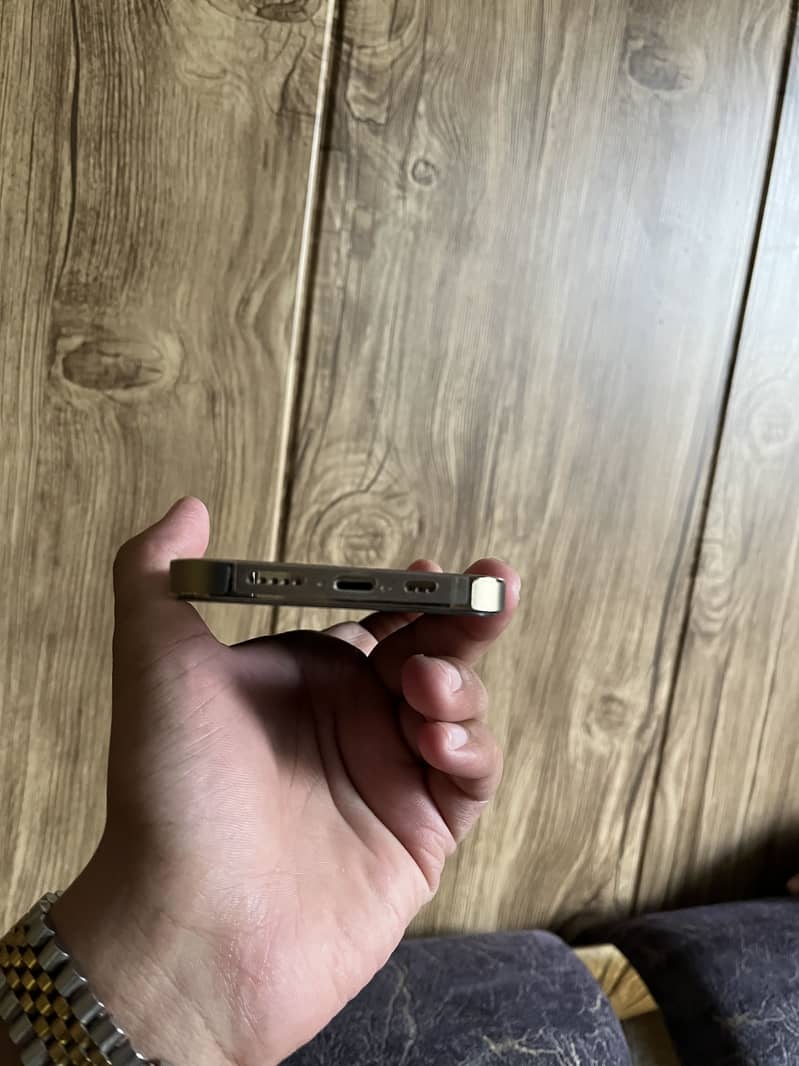 Apple iPhone 13 Pro 1