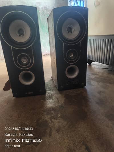 Audionic woofer