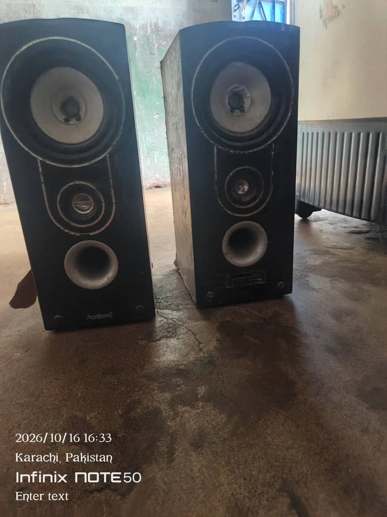 Audionic woofer 0