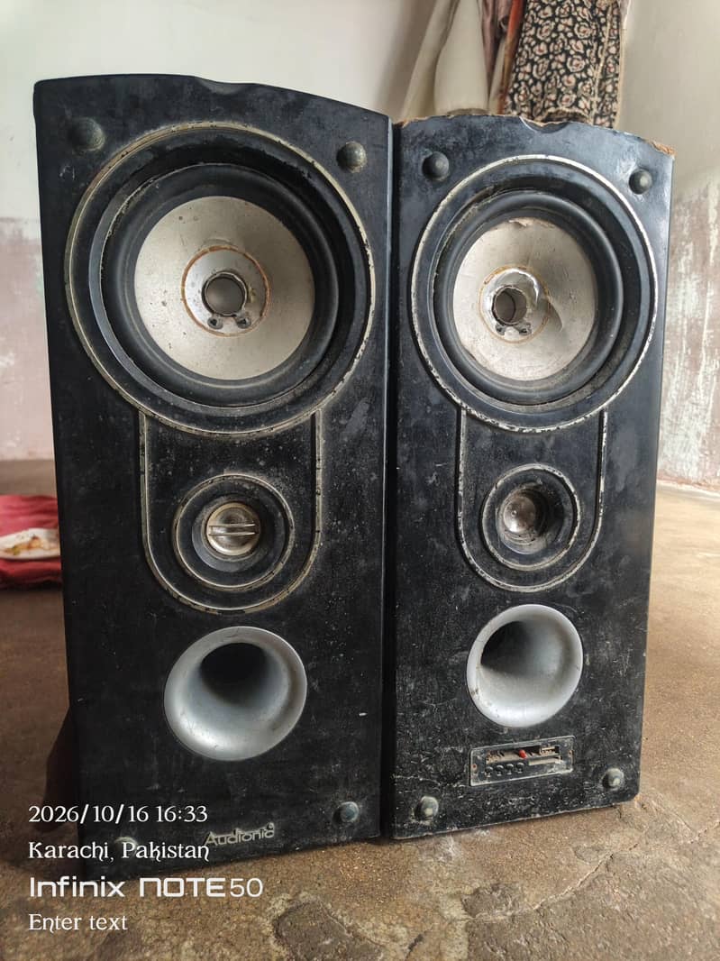Audionic woofer 1