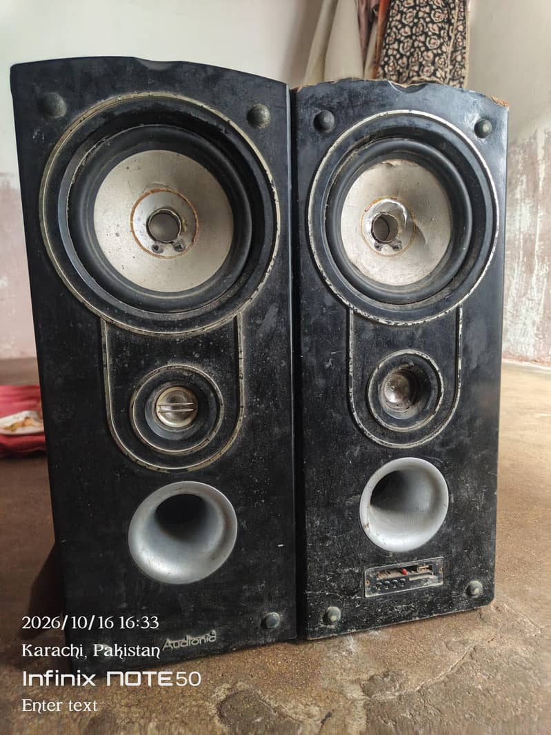 Audionic woofer 2