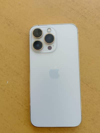 Apple iPhone 13 Pro