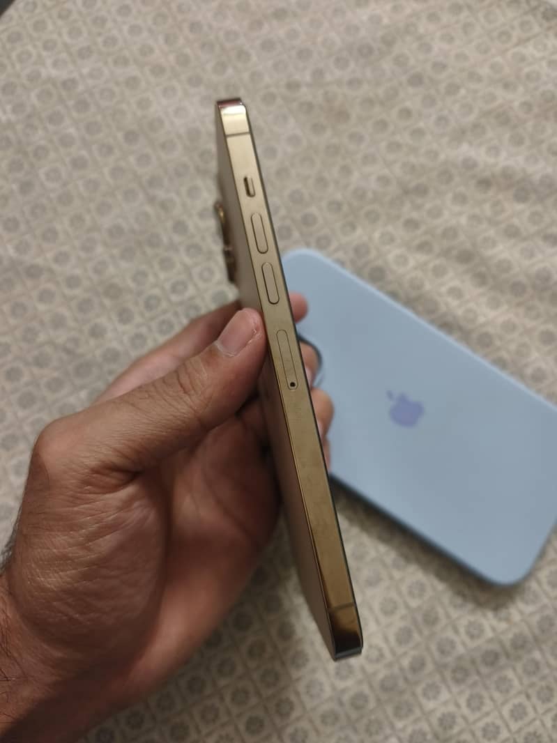 Apple iPhone 13 Pro Max 1
