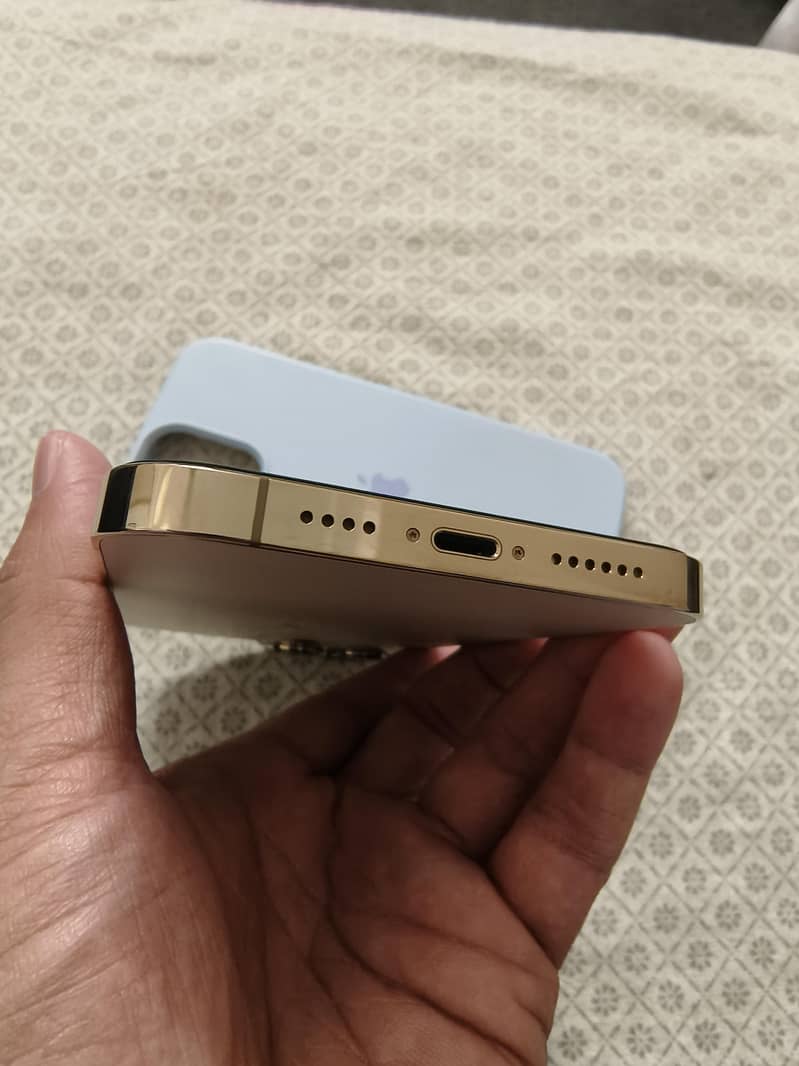 Apple iPhone 13 Pro Max 2