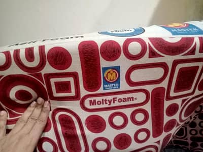 molty foam