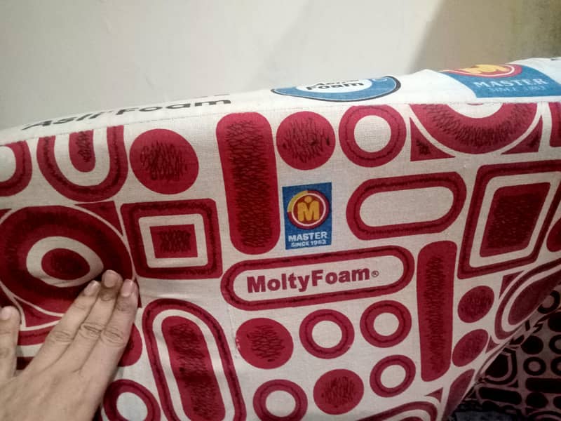 molty foam 0