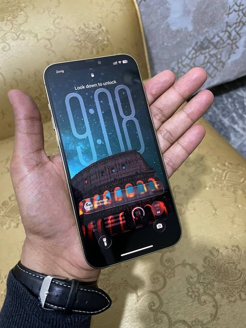Apple iPhone 12 Pro Max 0