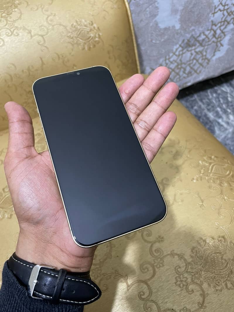 Apple iPhone 12 Pro Max 1