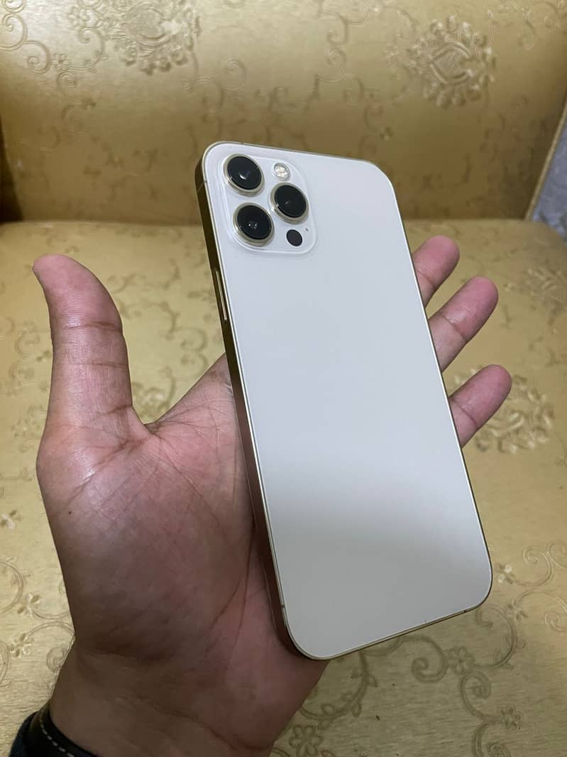 Apple iPhone 12 Pro Max 2