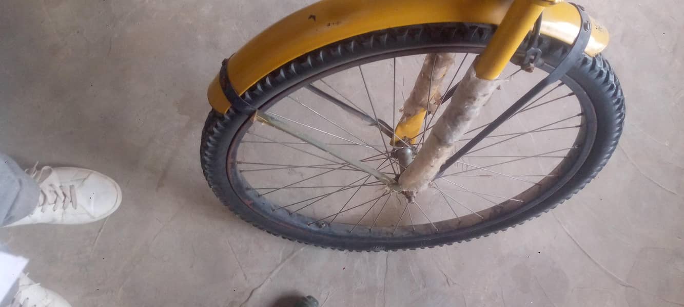bicycle 2