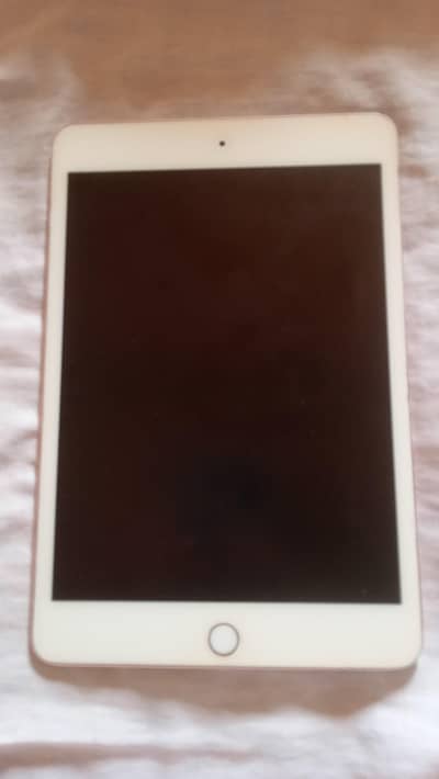 IPAD MINI 5