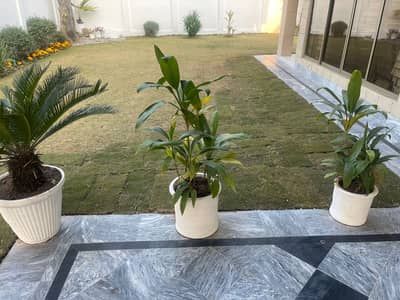 Ideal House For Good Return On Sale In E-7 Islamabad