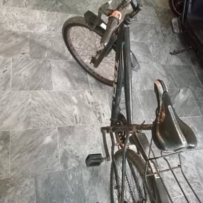 Bicycle for big children