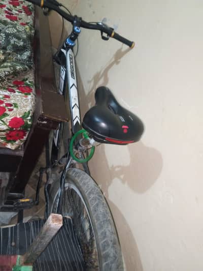gairo wali cycle