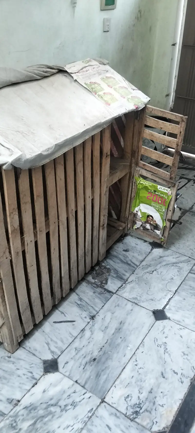 Used Hen Cage for Sale – مرغیوں کا پنجرہ — photo 2