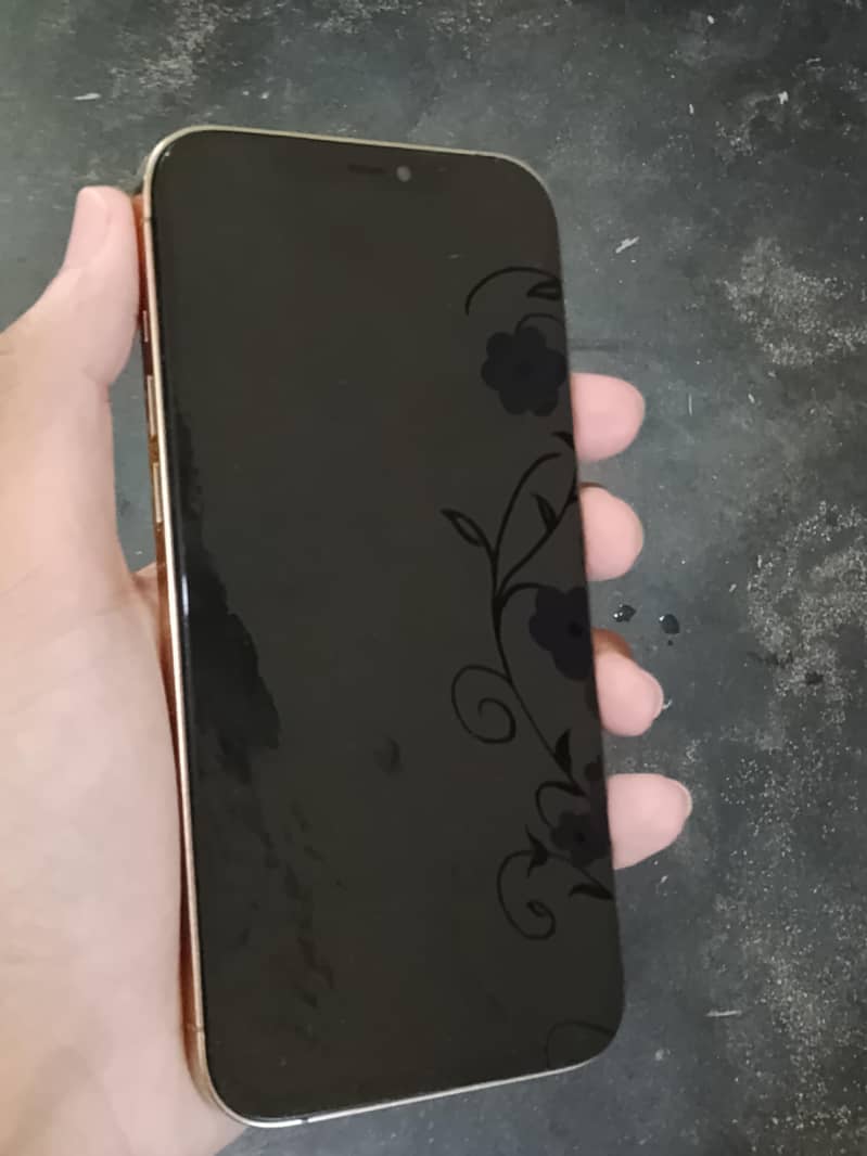 Apple iPhone 12 Pro Max 1