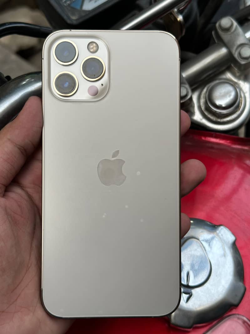 Apple iPhone 12 Pro Max 1