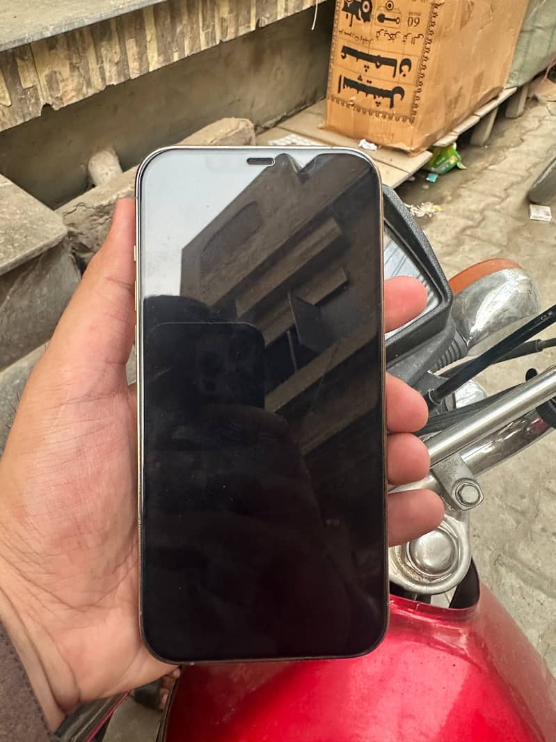 Apple iPhone 12 Pro Max 5
