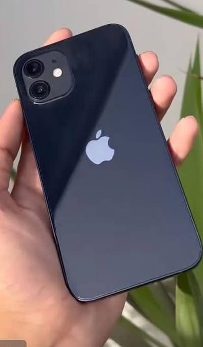 Apple iPhone 12