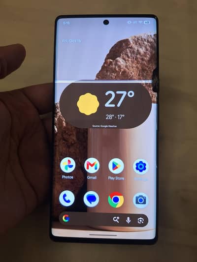 Google Pixel 6 Pro - Panel Damaged