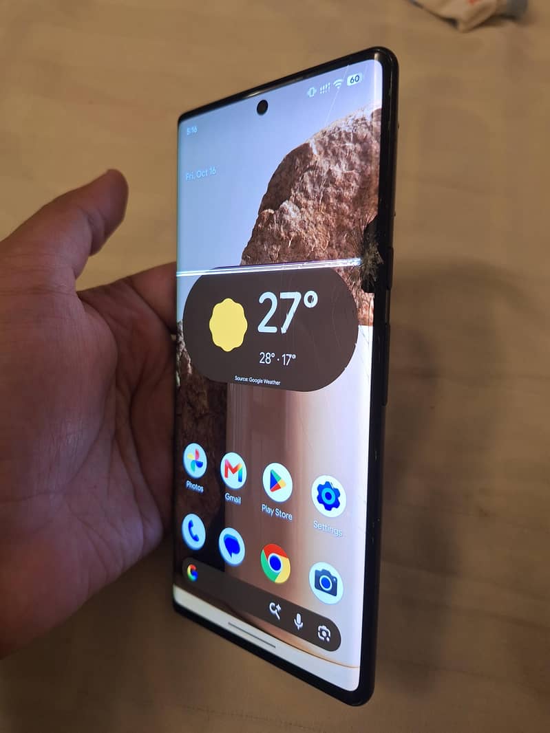 Google Pixel 6 Pro - Panel Damaged 1