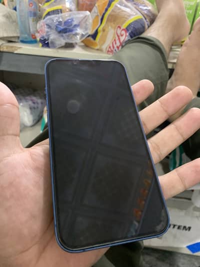 Apple iPhone 13