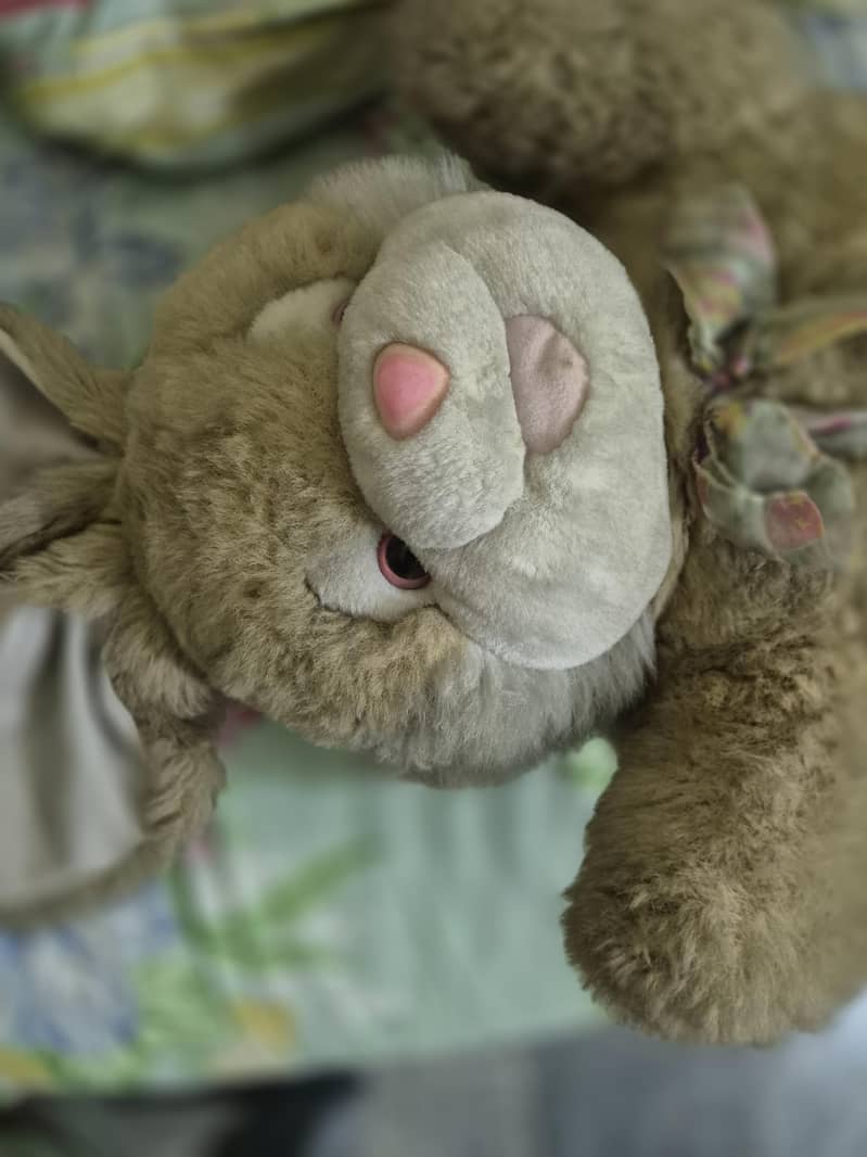 Teddy Bear 1