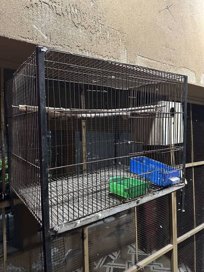 2 cages for sale both size 2*2  excellent condition