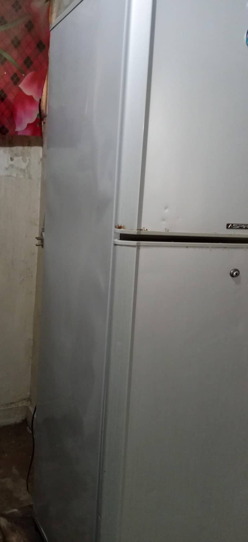 Pel freezer 1