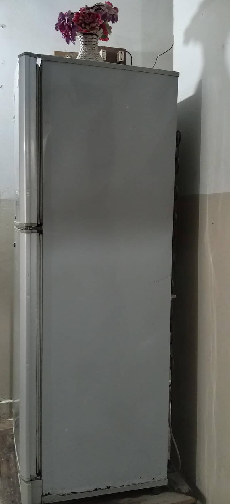 Pel freezer 2