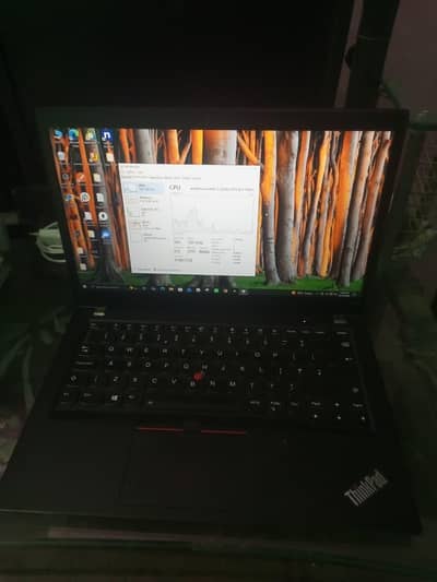 Lenovo Thinkpad T480s