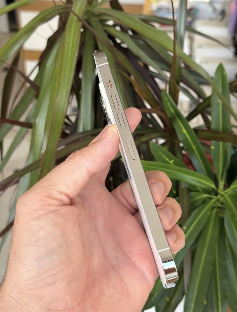 Apple iPhone 13 Pro Max 2