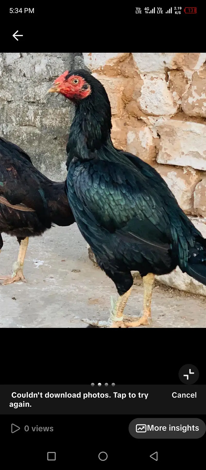 pure mushki maddiayn — photo 3