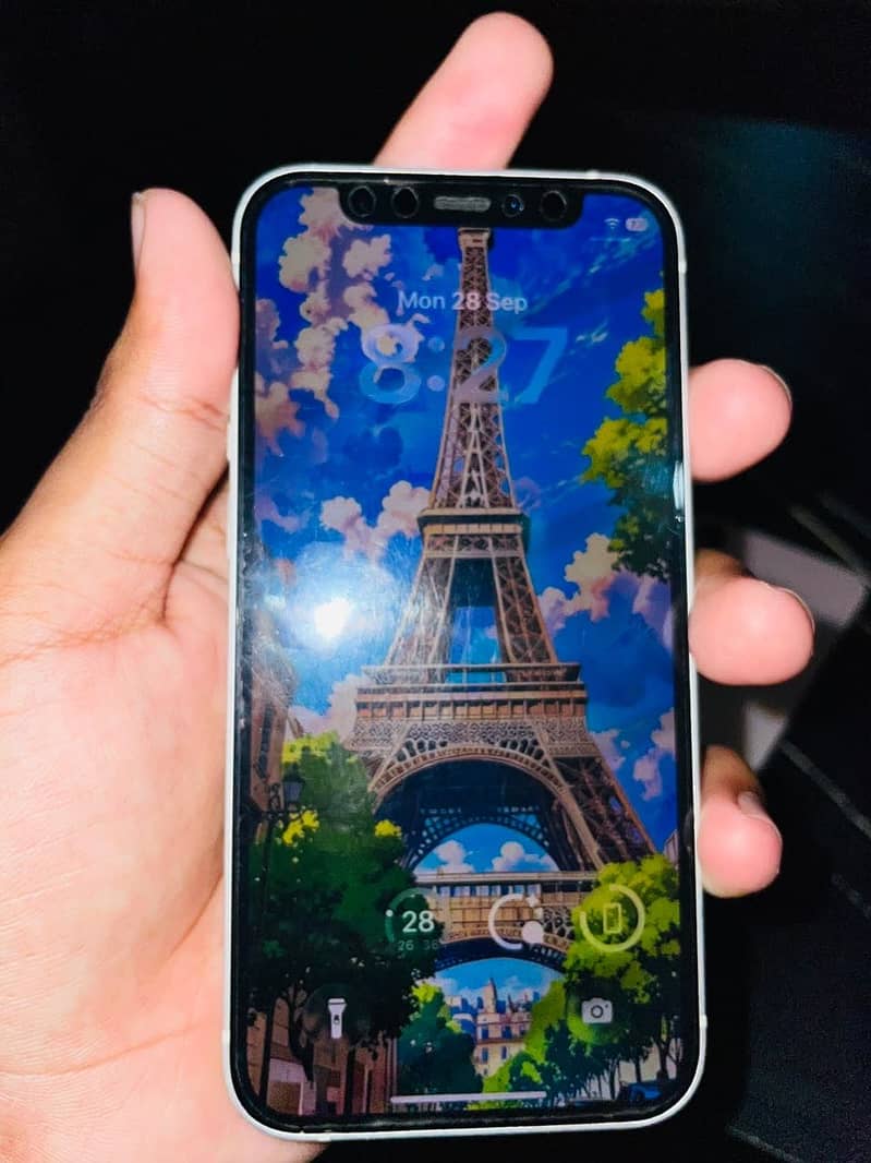 Apple iPhone 12 mini 12