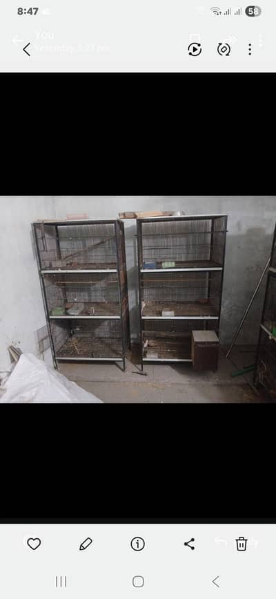 6 month user parrot cage