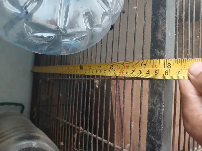 6 month user parrot cage — photo 3