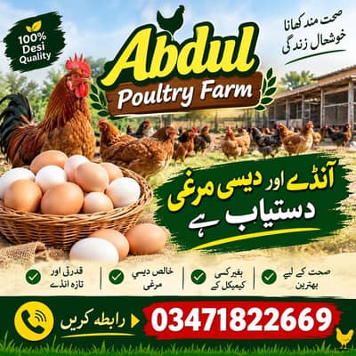 desi eggs and chicken available Islamabad g 15