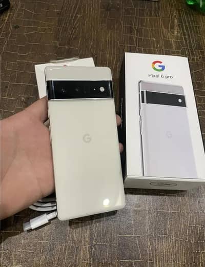 Google Pixel 6 Pro