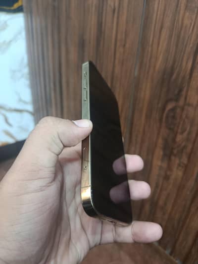 Apple iPhone 12 Pro