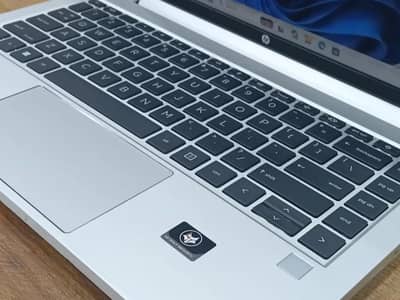 HP PROBOOK 445 G8 Ryzen 5 5600U