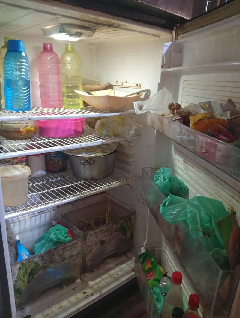 Fridge 2