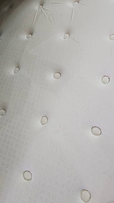 Master molty premium collection 2 in 1 cloud comfort