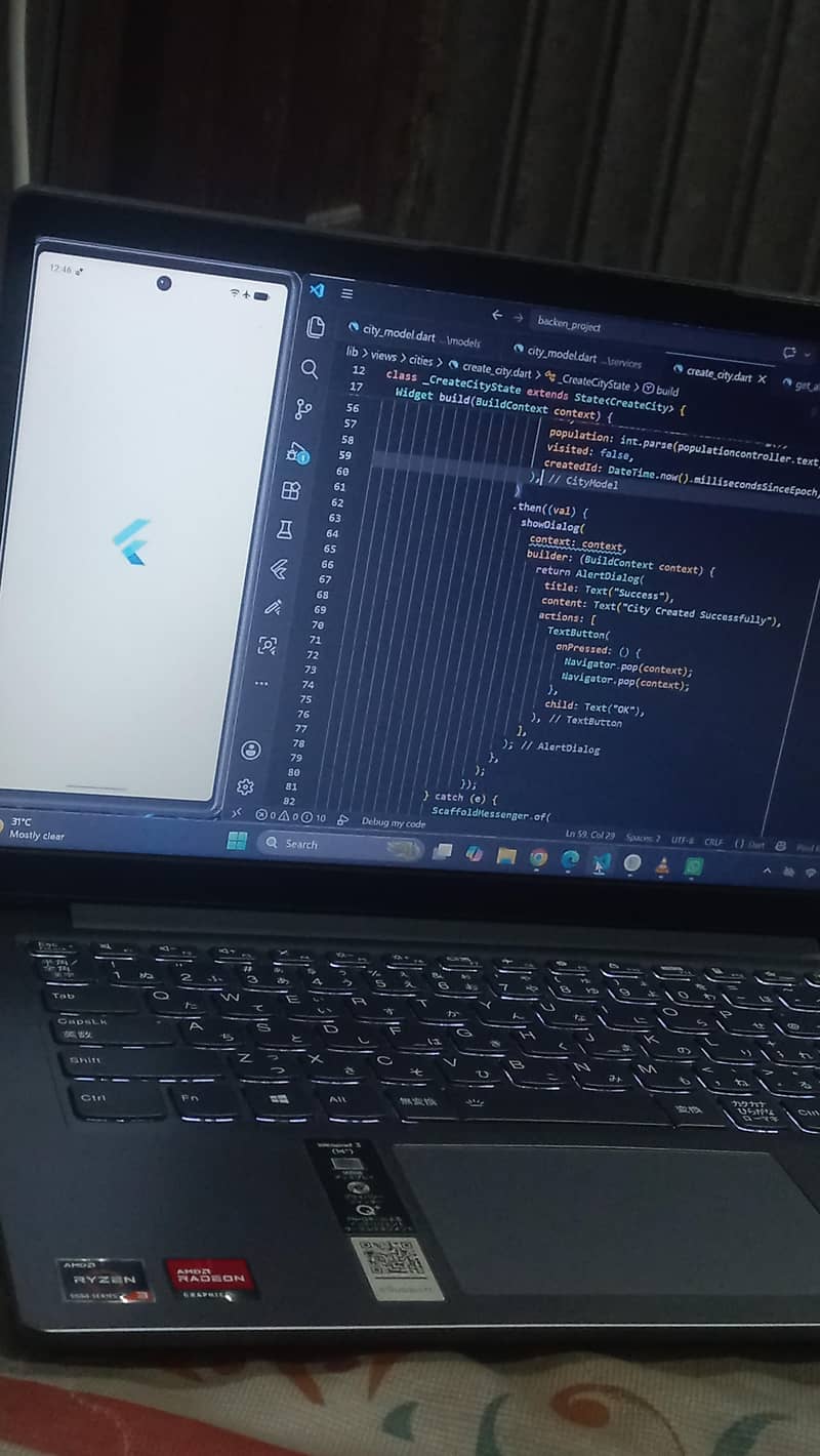 Flutter developer 0