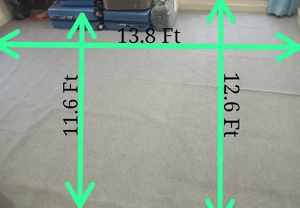 Fresh Carpet + Foam for sale