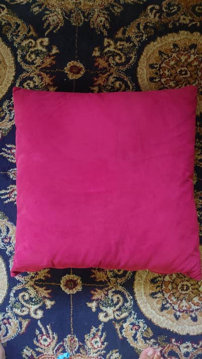 pair of pillow