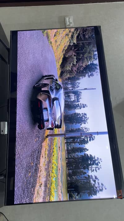 TCL QLED LED 65”