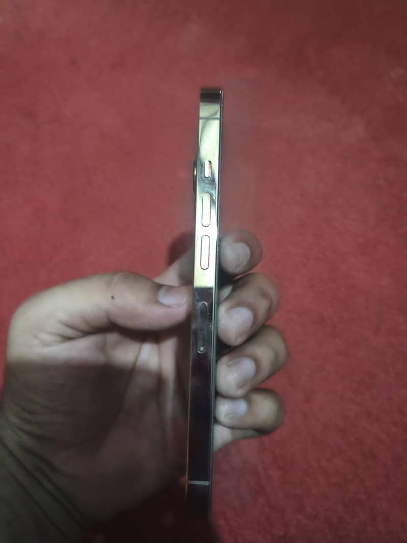 Apple iPhone 13 Pro 1