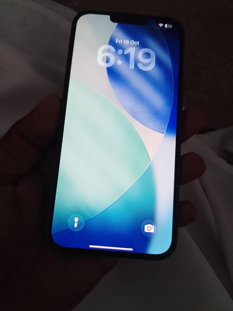 Apple iPhone 13 Pro Max 1